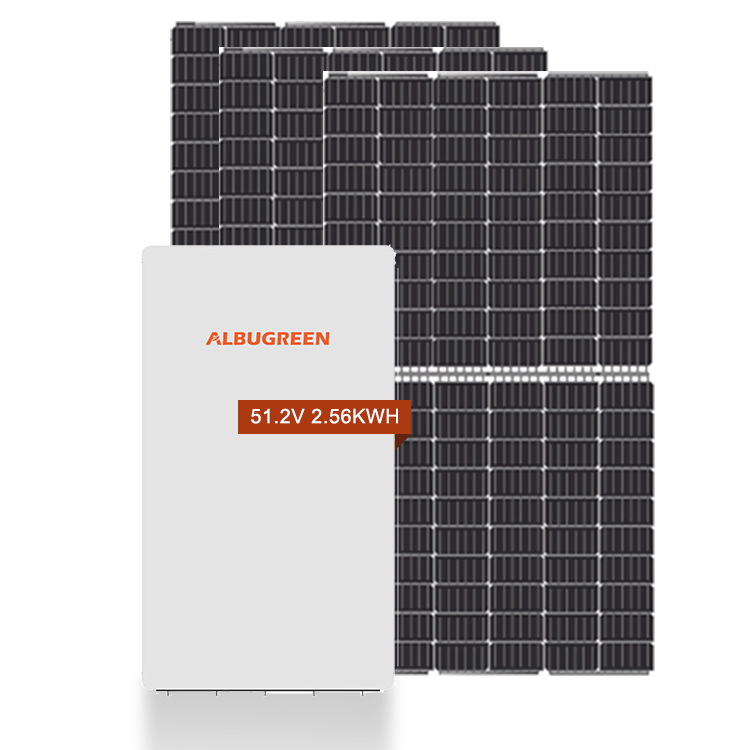 Batterie LiFePO4 48V pour le stockage solaire domestique