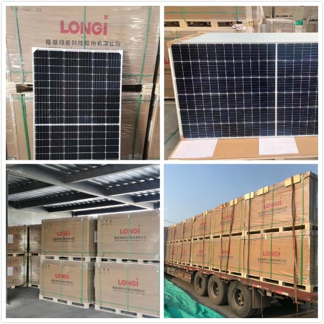 Technologie solaire chinoise longi